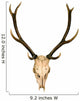 This Is Horns of Deer Very Wall Decal