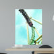 roller coaster Wall Mural