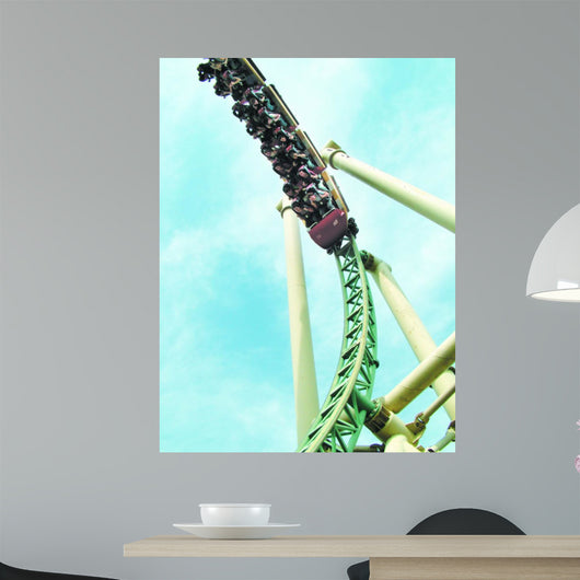 roller coaster Wall Mural