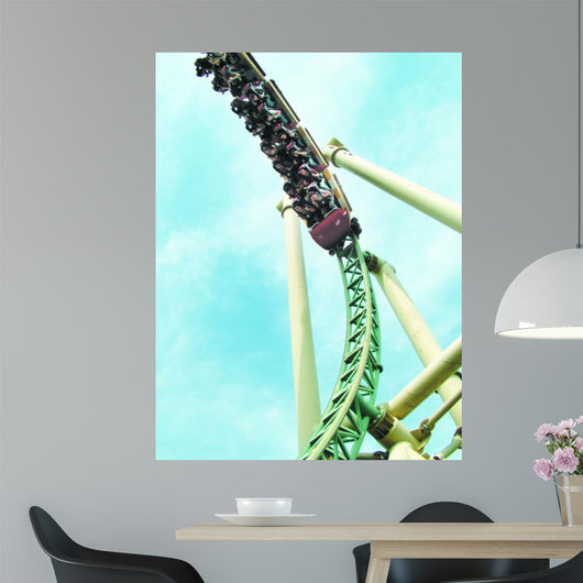 roller coaster Wall Mural