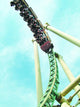 roller coaster Wall Mural