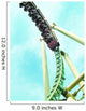roller coaster Wall Mural