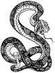 snake black white Wall Decal