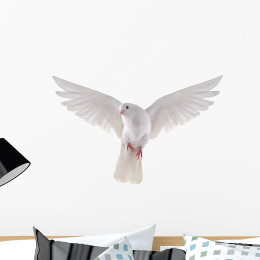 flying dove 