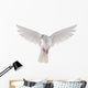 flying dove 