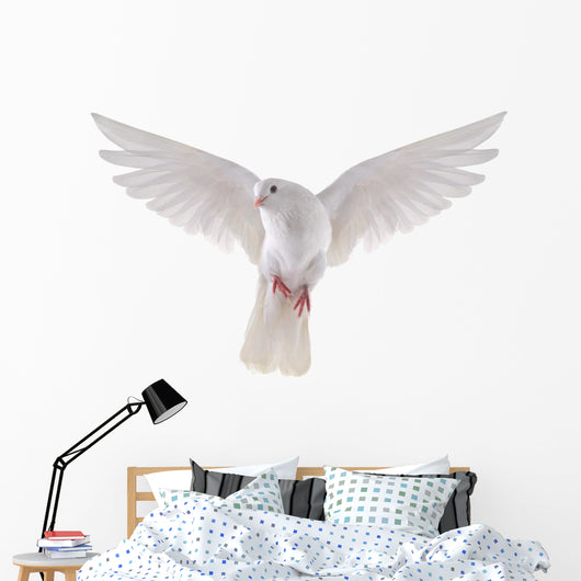 flying dove 