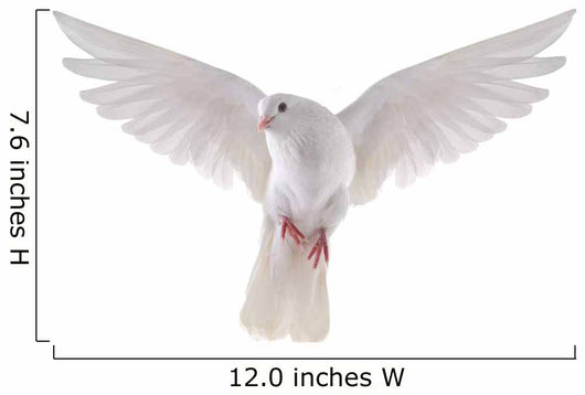 flying dove 