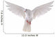 flying dove 