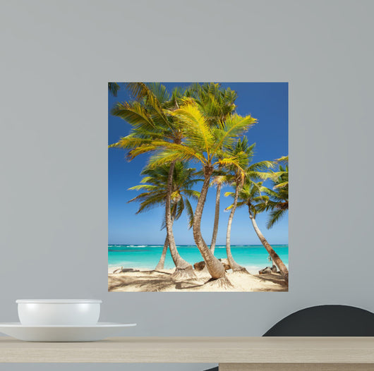 tropical beach 