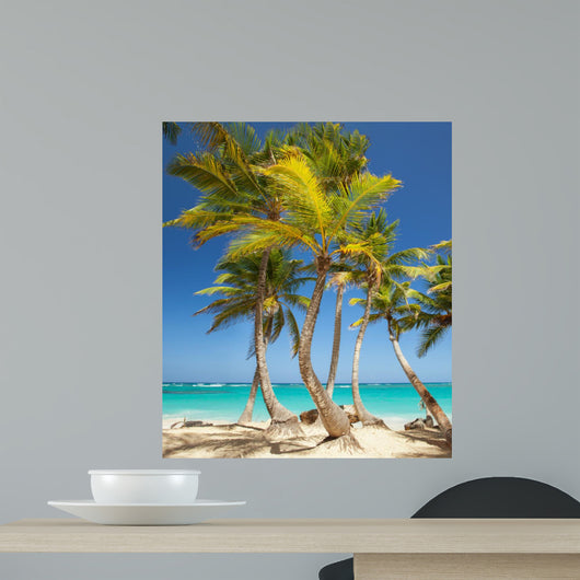 tropical beach 
