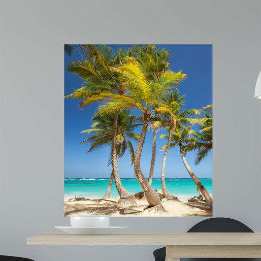 tropical beach 