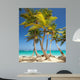 tropical beach 
