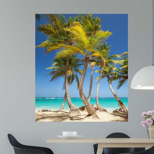 tropical beach 