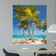 tropical beach 