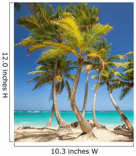 tropical beach 