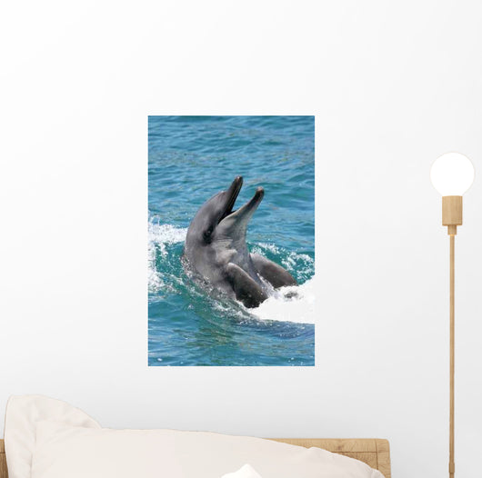 Bottlenose Dolphin Wall Decal