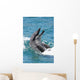 Bottlenose Dolphin Wall Decal