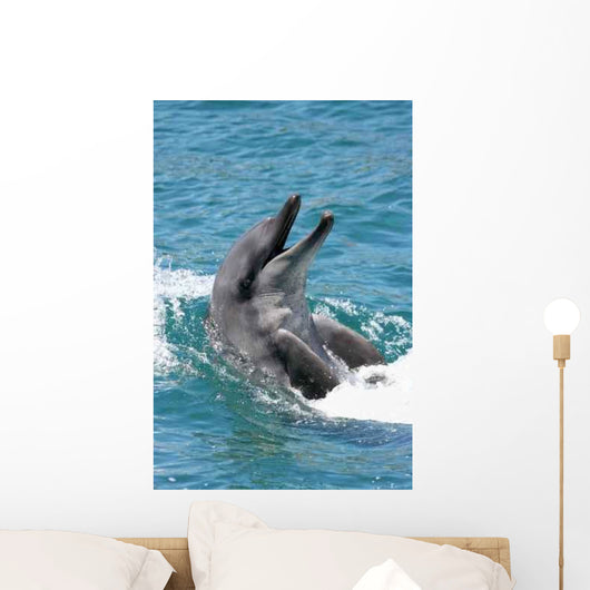 Bottlenose Dolphin Wall Decal