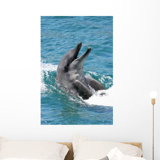Bottlenose Dolphin Wall Decal