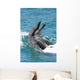 Bottlenose Dolphin Wall Decal