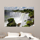 Iguassu Falls Wall Mural
