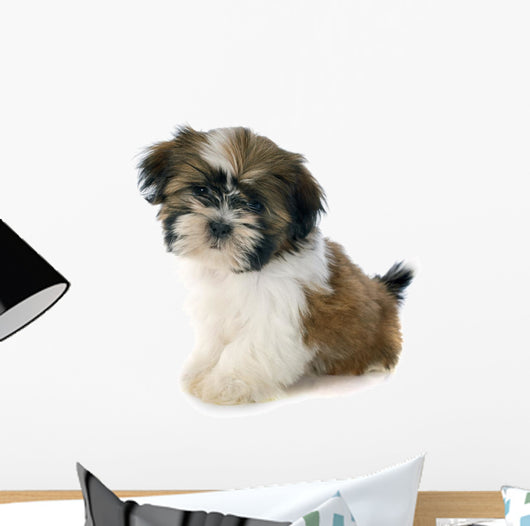 Puppy Shitzu Wall Decal
