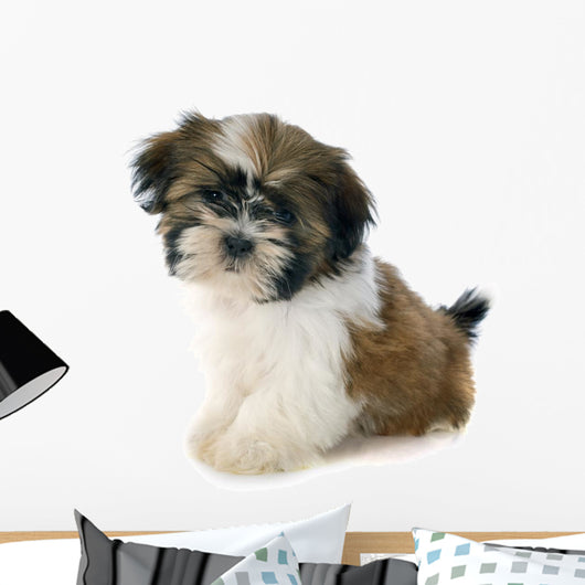 Puppy Shitzu Wall Decal