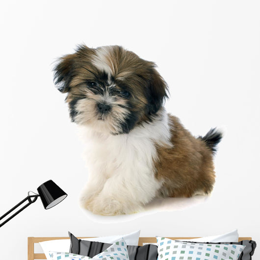 Puppy Shitzu Wall Decal