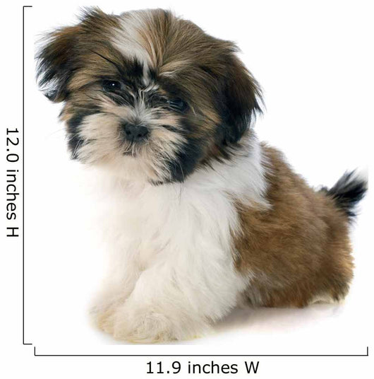 Puppy Shitzu Wall Decal