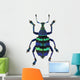 Blue Exotic Beetle 