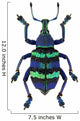Blue Exotic Beetle 