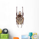 Goliathus albosignatus beetle isolated on white Wall Mural