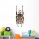Goliathus albosignatus beetle isolated on white Wall Mural