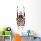 Goliathus albosignatus beetle isolated on white Wall Mural