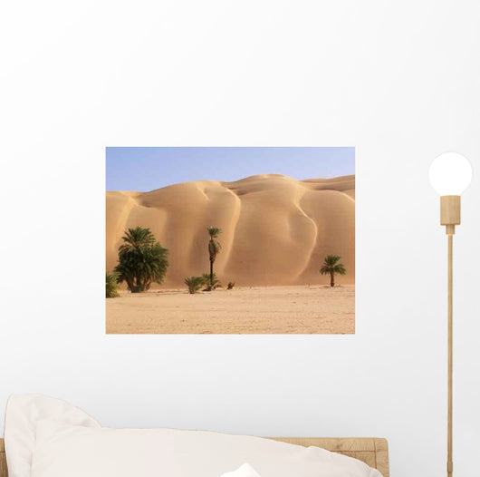 Palmeraie D'azouega Mauritanie Wall Decal