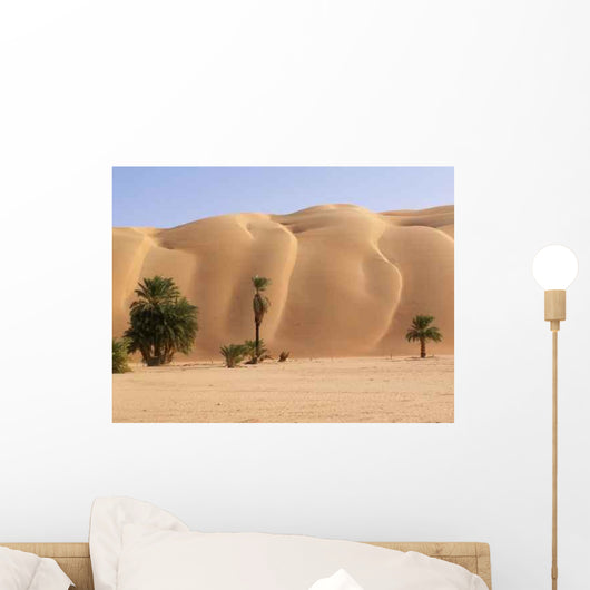 Palmeraie D'azouega Mauritanie Wall Decal