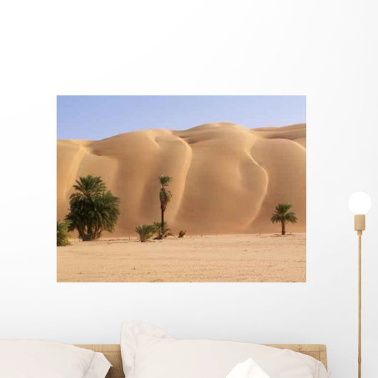 Palmeraie D'azouega Mauritanie Wall Decal