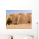 Palmeraie D'azouega Mauritanie Wall Decal