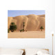 Palmeraie D'azouega Mauritanie Wall Decal