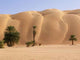 Palmeraie D'azouega Mauritanie Wall Decal