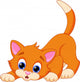 Funny Cat Wall Decal