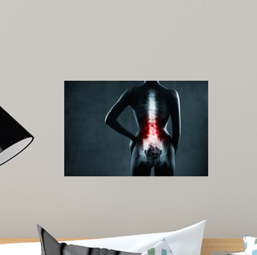 Spine in x-ray. The lumbar spine is highlighted by red colour. 