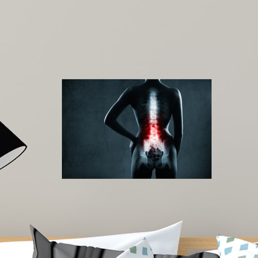 Spine in x-ray. The lumbar spine is highlighted by red colour. 