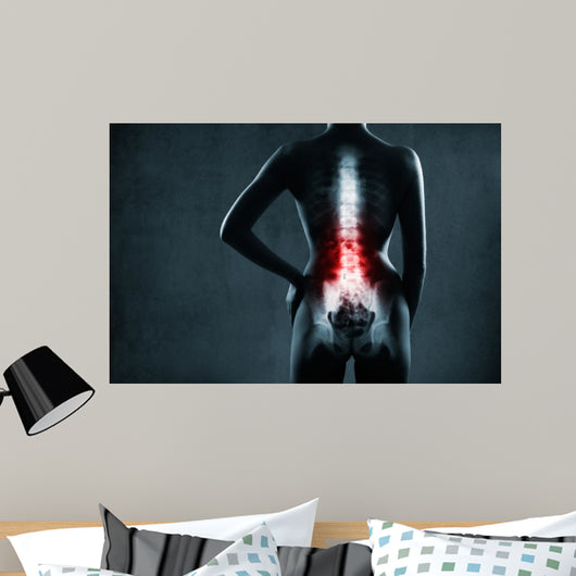 Spine in x-ray. The lumbar spine is highlighted by red colour. 