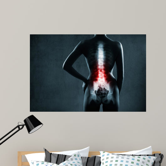 Spine in x-ray. The lumbar spine is highlighted by red colour. 