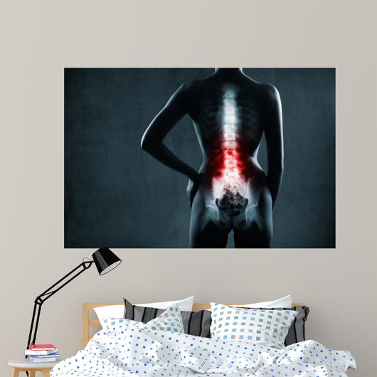 Spine in x-ray. The lumbar spine is highlighted by red colour. 