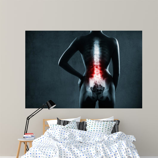 Spine in x-ray. The lumbar spine is highlighted by red colour. 