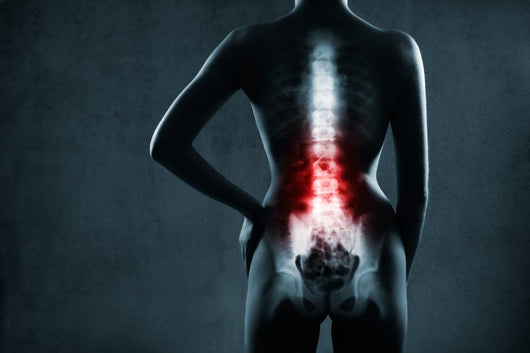 Spine in x-ray. The lumbar spine is highlighted by red colour. 