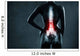 Spine in x-ray. The lumbar spine is highlighted by red colour. 