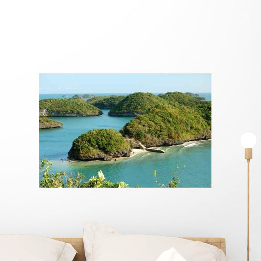 Arial from Governors Island Wall Decal